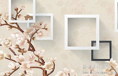 客厅养什么花聚财又镇宅 龟背竹寓意增福增寿