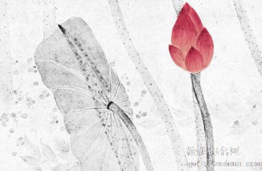 房间里放什么阳气旺 太阳花聚集阳气