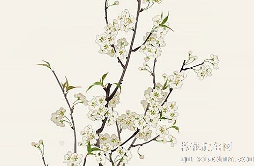 霜降变了天的上一句 霜降下雨有什么说法