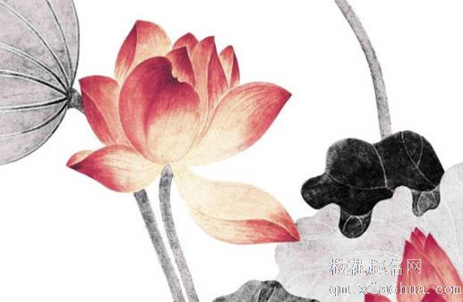 阳气最强的花是什么花 桃花阳气旺盛催旺运势