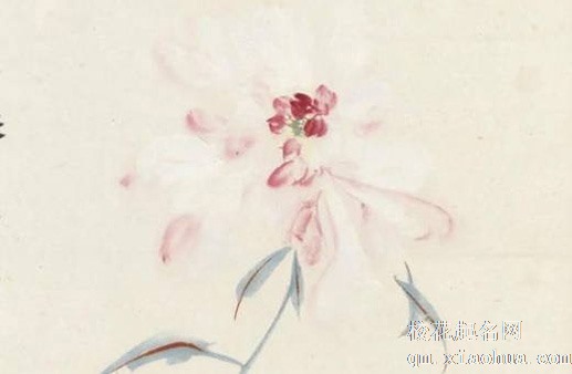 九种不祥之物千万不能放家里 枯木干花带来衰败之气