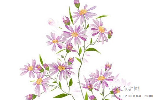 翡翠貔貅怎么选才是最好的 貔貅好处和禁忌