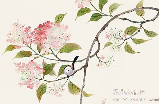 霜降后天气还热吗 是不是就冷了可以穿棉袄吗