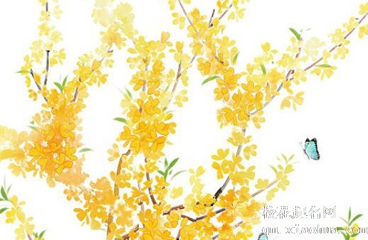 貔貅六大禁忌都有哪些 貔貅忌讳接触化学物品