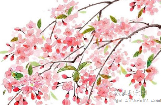 铜缸摆件有什么寓意 聚财镇宅改善气运