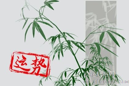 后半生运气最好的星座女 天秤后半生雍容华贵成熟优雅