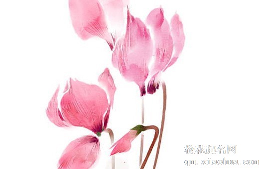 黄铜水缸如何摆放 黄铜水缸养锦鲤最旺财