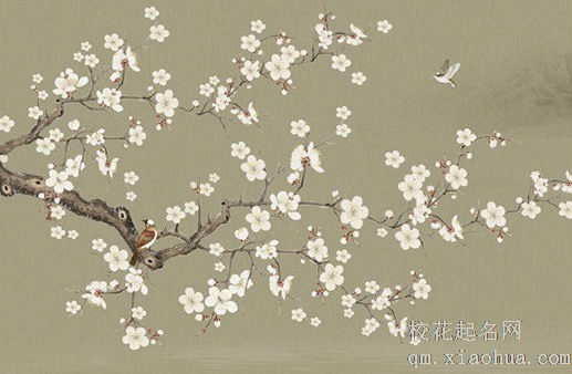 一对铜貔貅应该怎么摆放  位置顺序都关键