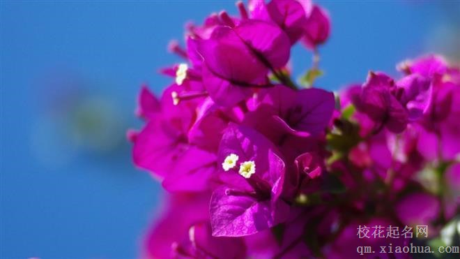 找准12上升星座的职业方向，用对了命主星，再也不愁了