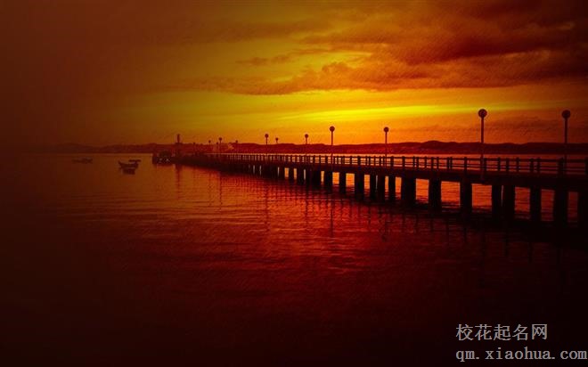 胆大心细，称赞不断，扩充人脉的4星座