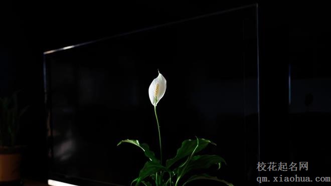 把你和哪个星座关在一起最容易来电