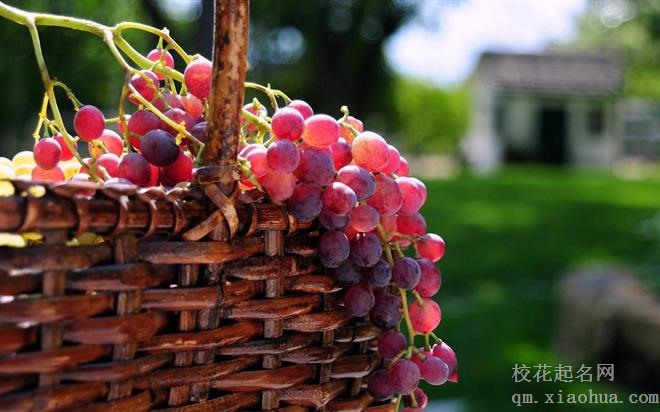 这些星座很有责任感，身体不舒服时，也不舍得请假，继续坚持工作