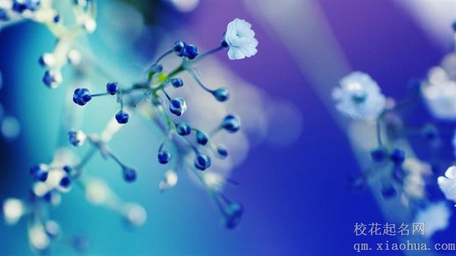 职场最令人喜欢的星座代表都有谁！