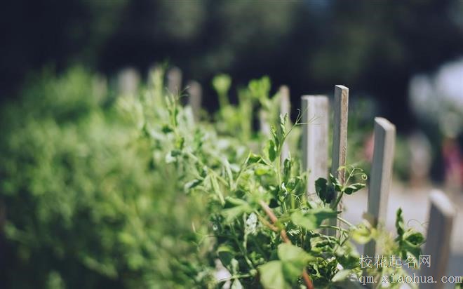 职场中和哪些星座共事一身“轻松”？