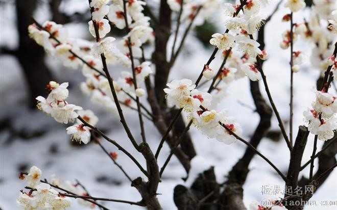 容易给人带来“莫名压力”的五大星座