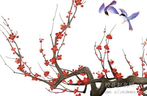 家里摆放什么辟邪镇宅保平安  鱼缸和运财童子