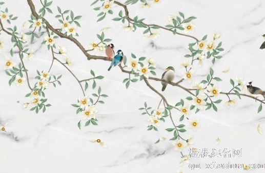 家里摆什么摆件不吉利 破物件和仙人掌