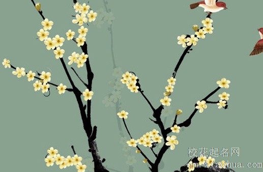 鲤鱼纹在哪里最好 鲤鱼纹身的禁忌和含义