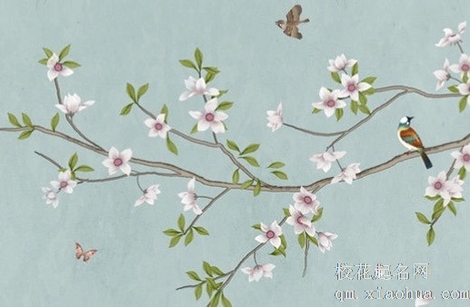 七星阵的作用和功效 水晶七星阵的坏处