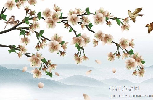 鸿运当头摆放气运禁忌  避免强光照射