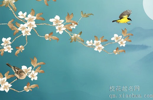 葬地选择怎样气运位置 青山绿水地势高