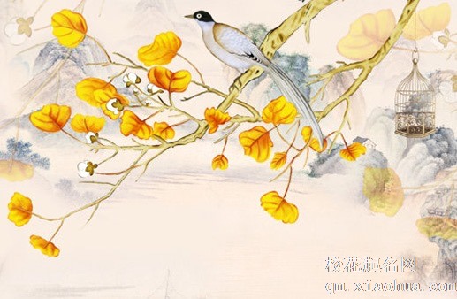 一对大象左右正确摆放图片  旺盛事业运势