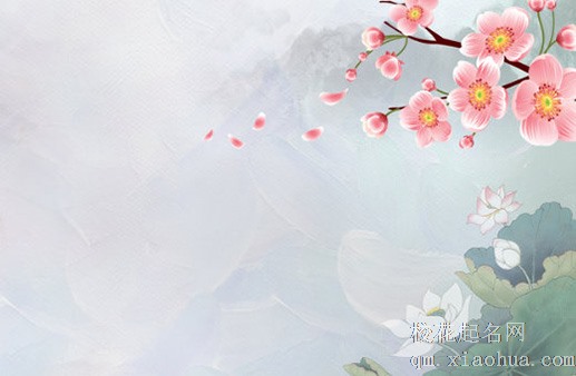 中堂用什么画最吉祥 花鸟和牡丹好气运