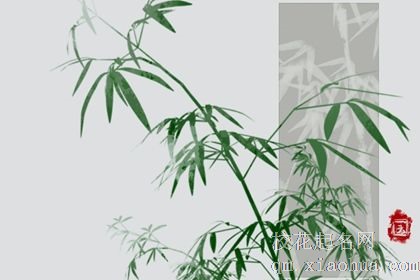 十二星座的倒霉日 面临巨大打击且诸事不顺