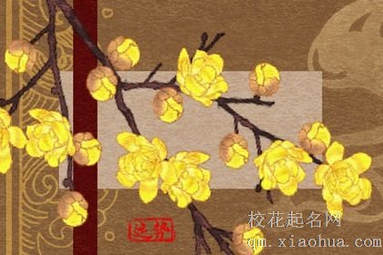 命最好的上升星座女 光环强烈为天生王者