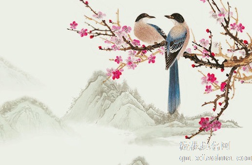 玄关处千万不能放这种东西 切记不能放假花