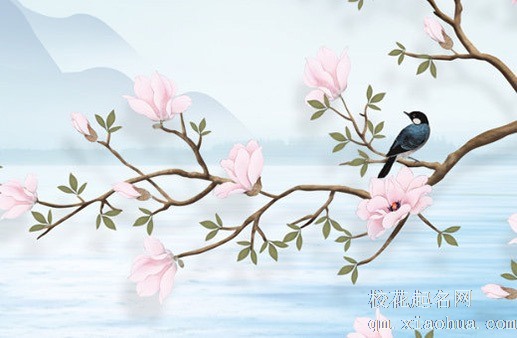 鲤鱼纹身头朝上朝下寓意 鲤鱼纹身搭配什么图案