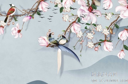 玄关摆放什么植物最好 招财树旺盛家中气运