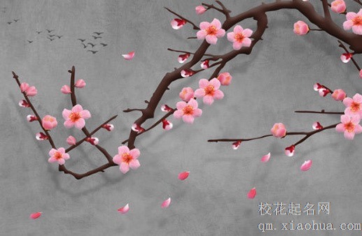 衣柜的最吉利摆放图片  气运布局有说法