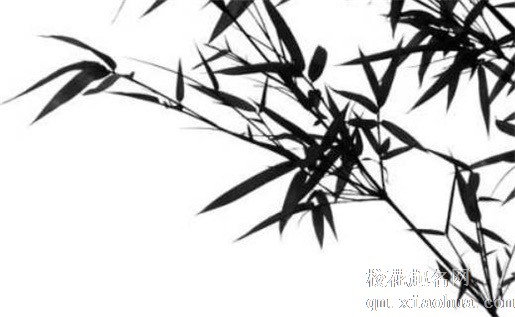 家里的水缸放哪里最好 陶瓷气运大缸镇宅如何摆放