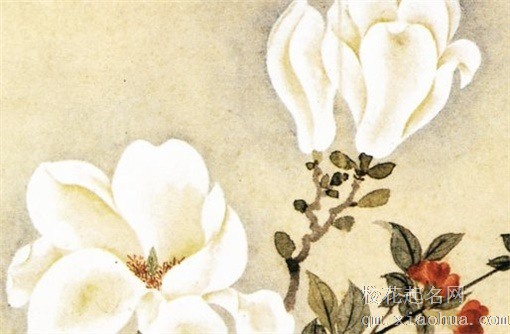 24年属什么生肖 属相乃为伏潭之龙