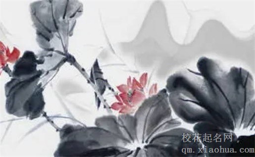 铜乌龟气运的摆放位置 吉祥物件可辟邪