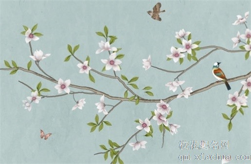 在家挂葫芦有什么讲究 葫芦的龙头掉了不吉利吗