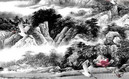 什么属相家里不能挂八卦镜  生肖龙与生肖虎