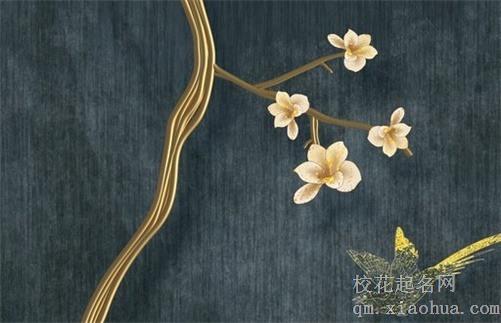 黑兔年和青龙年是不是不好 黑兔青龙30年终子孙结