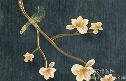 黑兔年是什么意思易经 黑兔年怎么化解