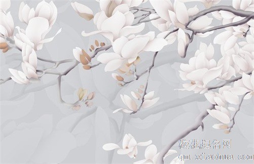 五帝钱挂门框还是门上 五帝钱放哪里最招财