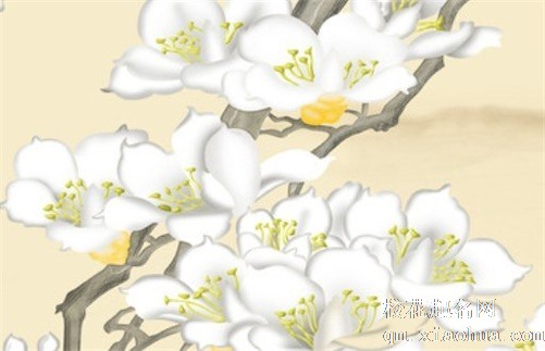 女人佩戴五帝钱的讲究 五帝钱什么方位摆放最合适