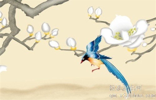 五帝钱挂一个还是一对 五帝钱能不能随便挂