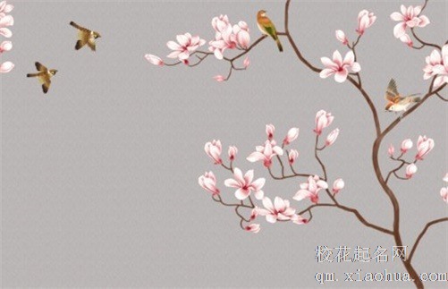 翡翠和玉哪个更有价值 挑选翡翠的四个口诀