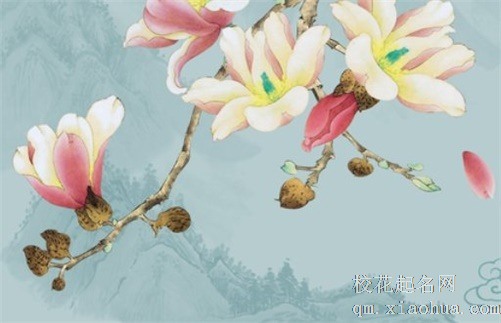 两眼天珠的寓意及功效 二眼天珠代表玉树连枝并蒂长生