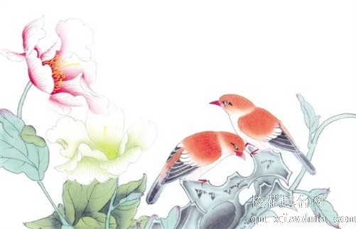 九眼天珠为什么这么贵 女人戴九眼天珠有什么好处