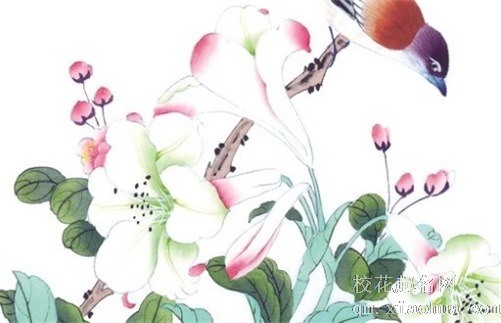 九眼天珠适合什么属相 九眼天珠是什么材料做的