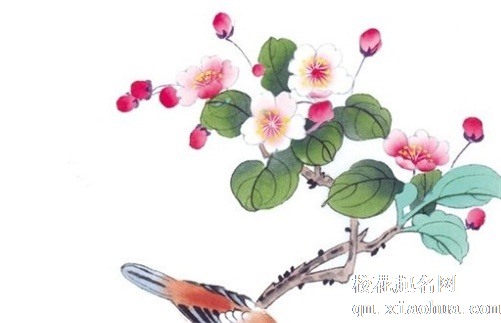 九眼天珠什么属相不能戴 九眼天珠佩戴禁忌