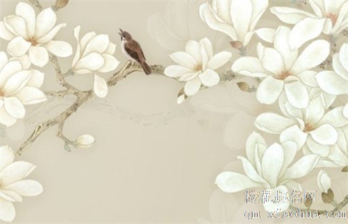 九眼天珠代表什么意义 九眼天珠的寓意及功效