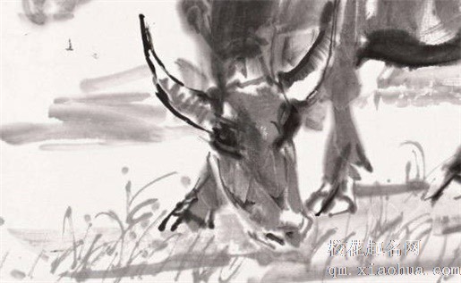 家里家具摆放位置風水吉位 太岁位岁破位不可亵渎